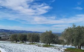 Dimora In Francigena